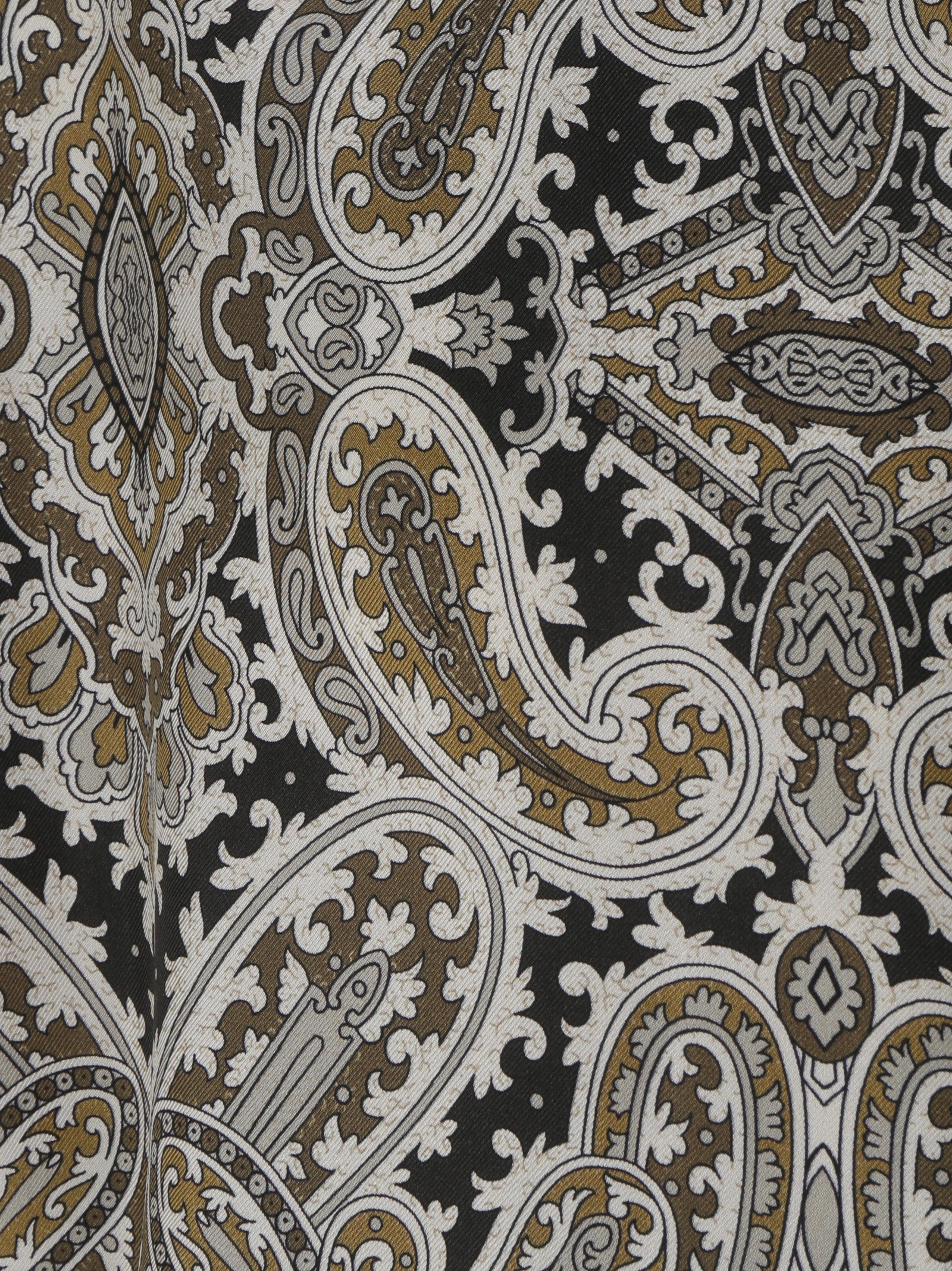 Etro Paisley Printed Long-Sleeved Shirt