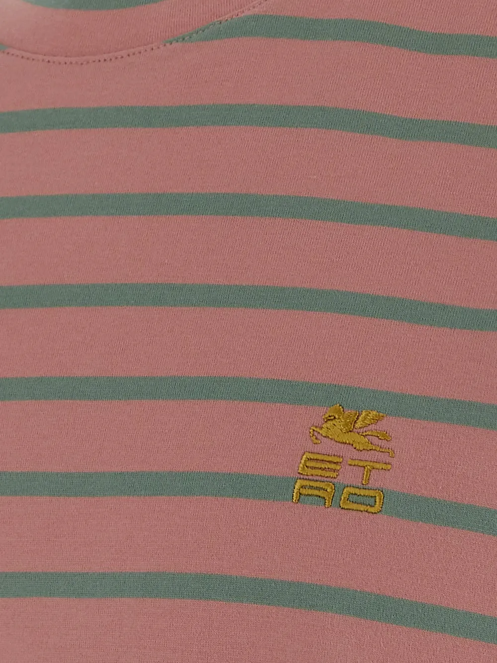 Etro Striped Crewneck T-Shirt